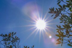 我们精心甄选了以下几大